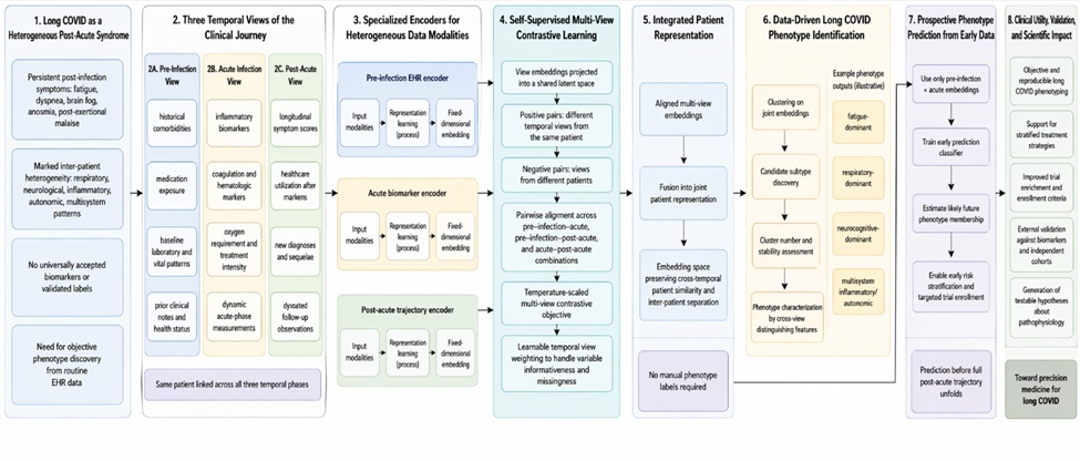 Figure 1. Contrastive multi-view framework for long COVID phenotype discovery from temporally linked electronic health records