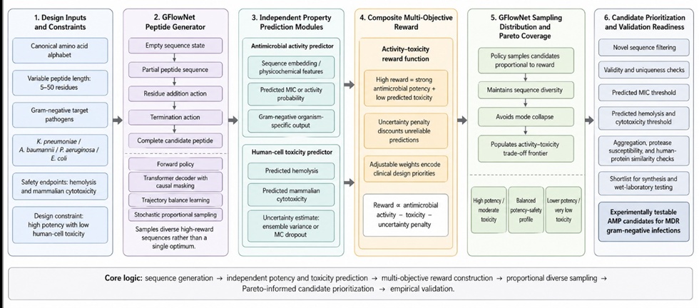 Figure 1. Generative Flow Network Framework for Multi-Objective Antimicrobial Peptide Design Against Multidrug-Resistant Gram-Negative Bacteria