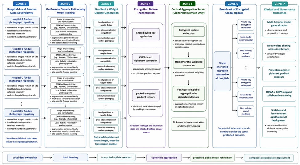 Figure 1. Hierarchical Architecture for Federated and Homomorphically Encrypted Multi-Hospital Training of Diabetic Retinopathy Detection Models