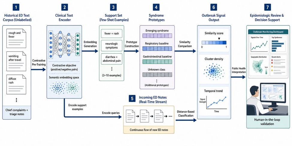 Figure 1. Linear architecture of contrastive learning with prototypical networks for few-shot detection of emerging infectious disease syndromes from emergency department text