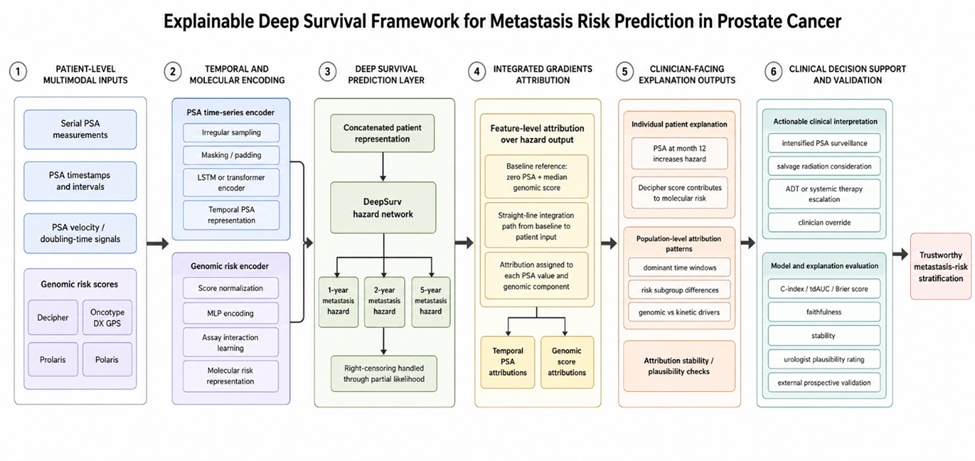 Figure 1. Explainable deep survival architecture for prostate cancer metastasis-risk prediction using serial PSA trajectories, genomic risk scores, and Integrated Gradients attribution.
