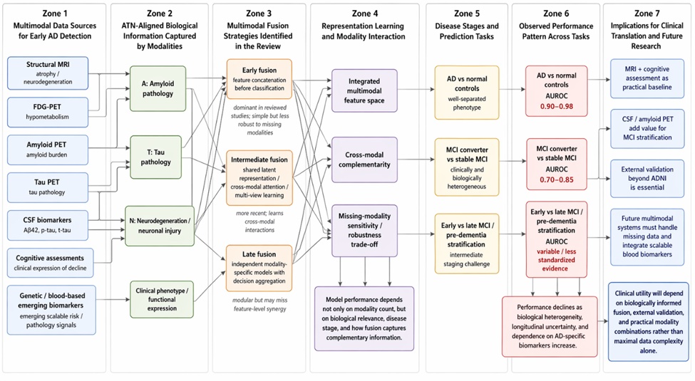 Figure 1. Hierarchical conceptual architecture of multimodal fusion strategies, modality roles, and stage-specific diagnostic performance in artificial intelligence for early Alzheimer’s disease detection (2017–2023).