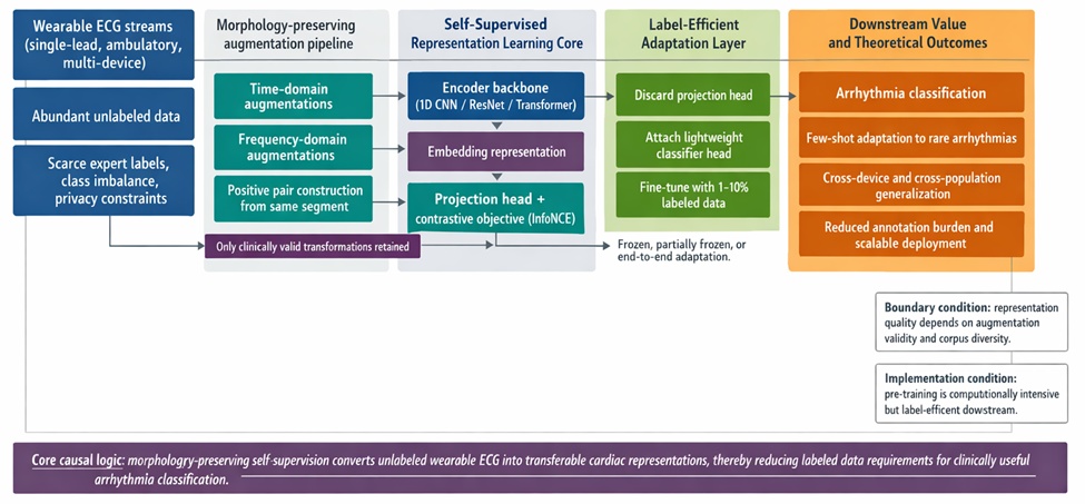 Figure 1. Hierarchical Framework for Self-Supervised Contrastive Learning on Wearable ECG for Label-Efficient Arrhythmia Classification