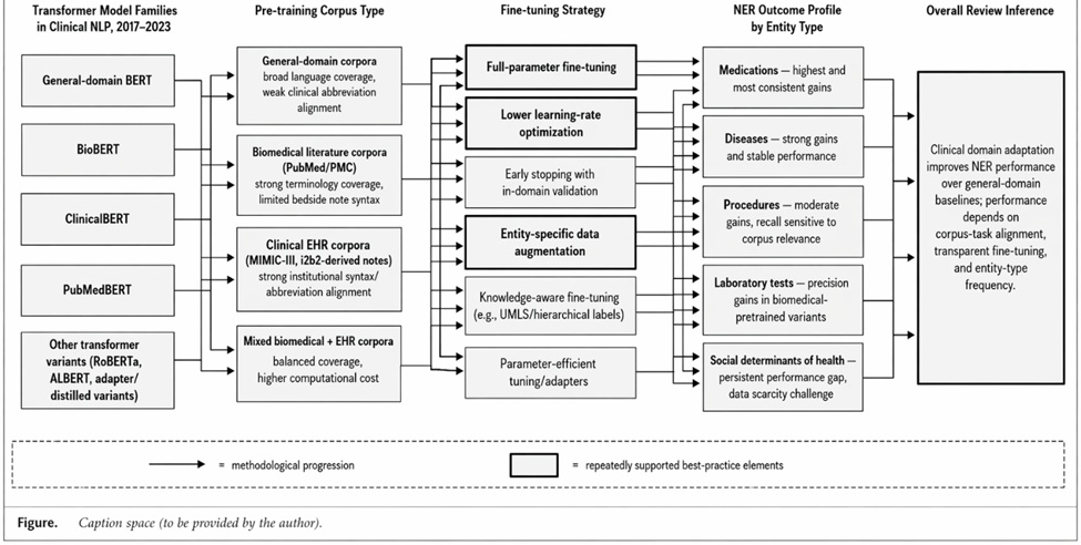 Figure 1. Hierarchical framework linking pre-training corpora, fine-tuning strategies, and entity-level NER performance in clinical transformer models