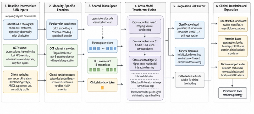Figure 1. Multimodal Transformer Framework for Predicting Progression from Intermediate to Neovascular Age-Related Macular Degeneration.