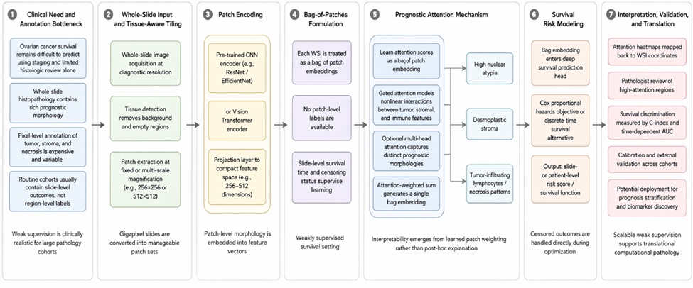 Figure 1. Conceptual Architecture of Attention-Based Multiple Instance Learning for Weakly Supervised Ovarian Cancer Survival Prediction from Whole-Slide Histopathology