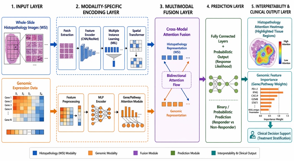 Figure 1. Hierarchical Architecture of a Multimodal Fusion Network Integrating Whole-Slide Histopathology and Genomic Expression Data for Immunotherapy Response Prediction in NSCLC