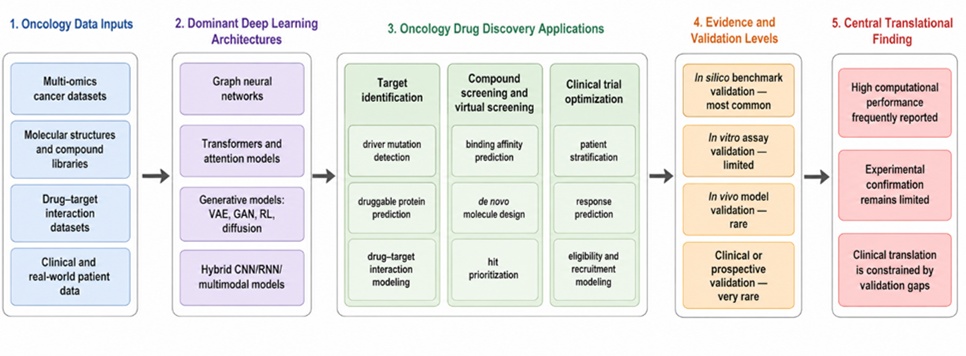 Figure 1. Deep learning across oncology drug discovery: from computational prediction to translational validation