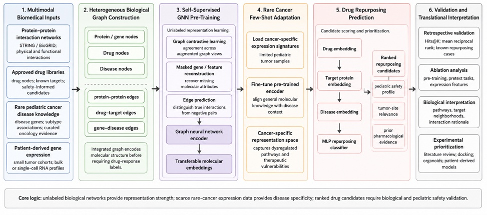Figure 1. Self-Supervised Graph Representation Learning Framework for Rare Pediatric Cancer Drug Repurposing.